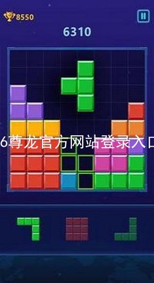 z6尊龙官方网站登录入口