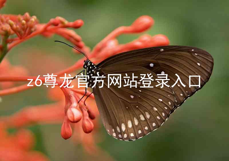 z6尊龙官方网站登录入口