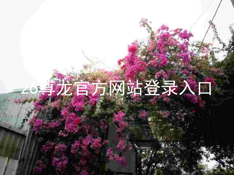 z6尊龙官方网站登录入口